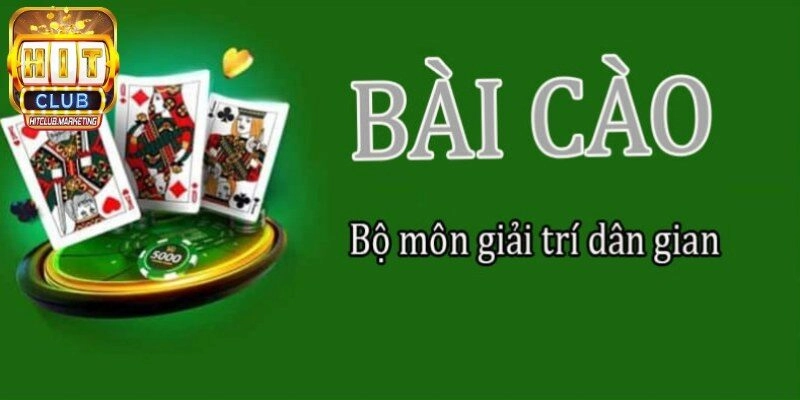 Trả lời về bài cào là gì?